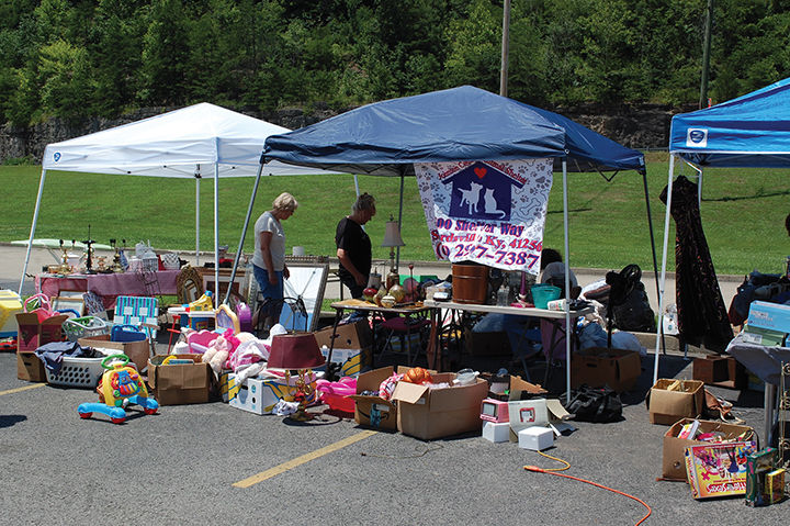 7-17 Animal Shelter 2.jpg